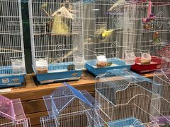 -龟与熊猫宠物公园(南坪店)