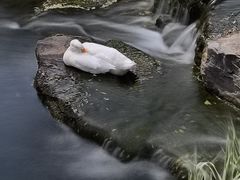 -三里河公园