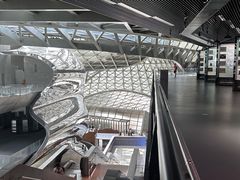 -深圳市当代艺术与城市规划馆