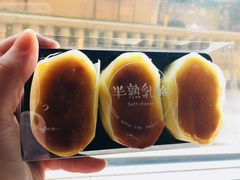 -九月森林(翠岗店)