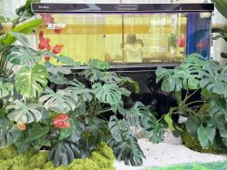 -苏州卫康美容医院