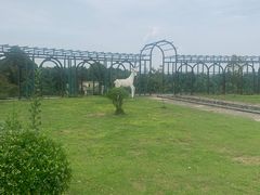 -都江堰玫瑰花溪谷