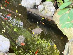 -谷咖啡·鲜花绿植花园餐厅