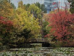 -北海道厅旧本厅舍(旧本庁舎)