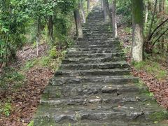 景点-云碧峰国家森林公园