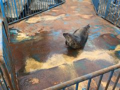 -华夏文旅海洋公园