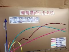 -青岛葡萄酒博物馆