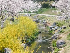 -羊山湖公园