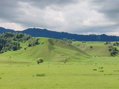 -新疆那拉提国家旅游度假区