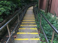 -九龙公园