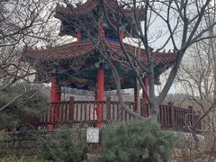 -大连植物园