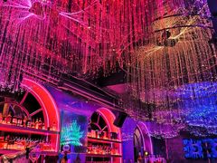 -Darling Queen·Mini·Live·House