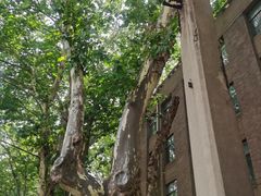 -南京钟山宾馆(江苏省会议中心)