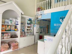 -爱贝特动物医院·猫口炎专科