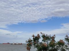 -上海滨江森林公园