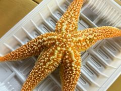 -星海广场
