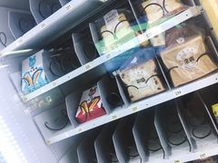 -闸弄口(地铁站)