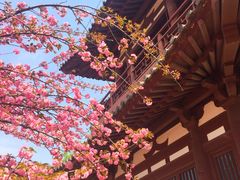 -西安青龙寺遗址景区