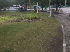 -上海中医药大学附属曙光医院(东部)