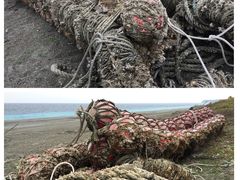 -七星潭蓝天广场