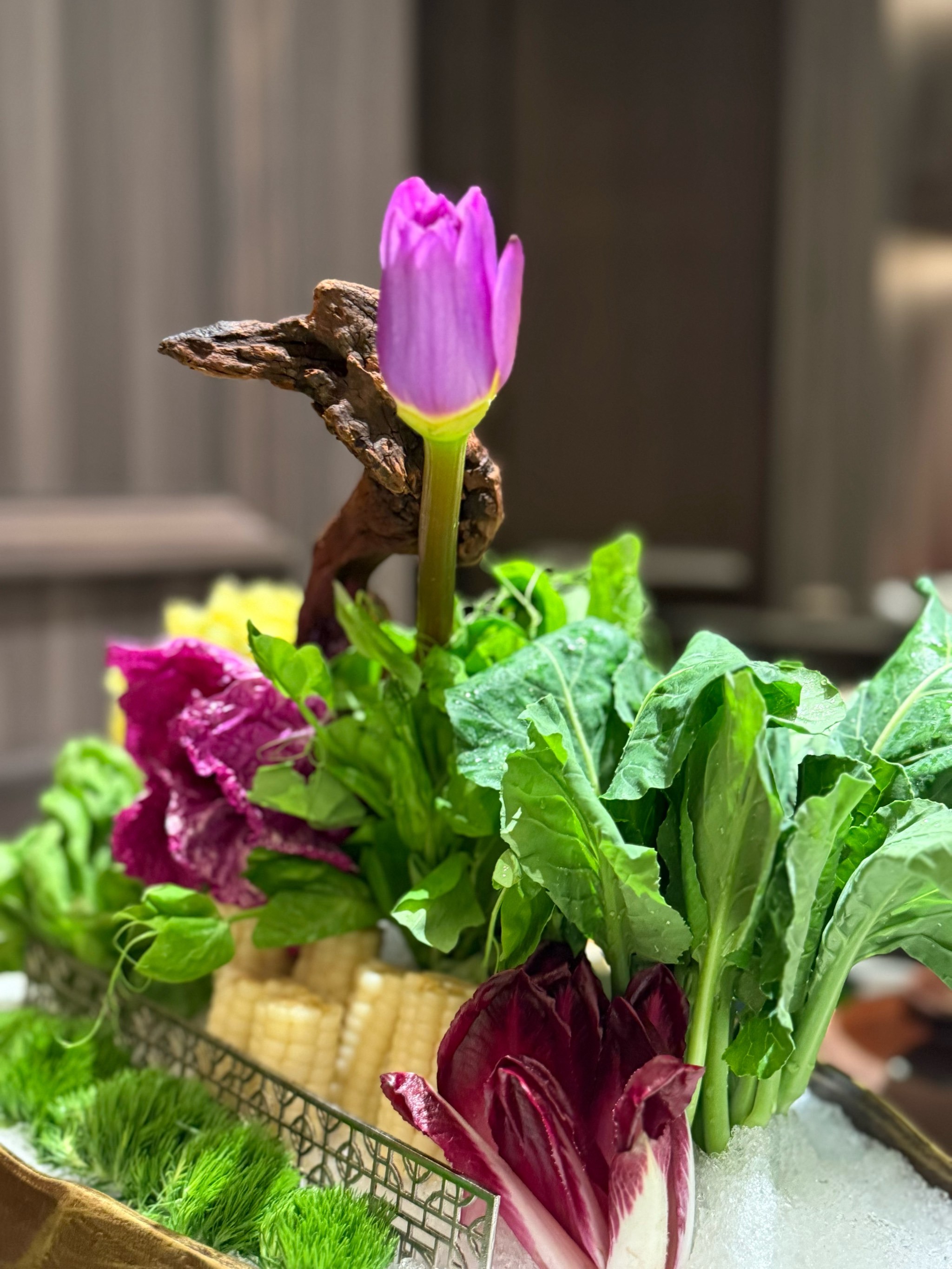 商务雅韵,粤味臻境