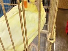 -潇湘·永州会馆(百子湾店)