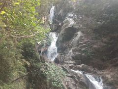 -九龙江国家森林公园