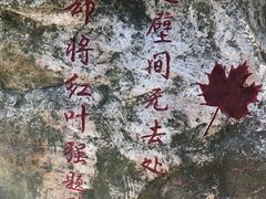 -广州市帽峰山景区