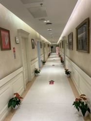 -圣嘉新医疗美容医院