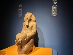 -上海博物馆