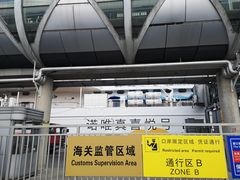 -吴淞口国际邮轮码头-停车场