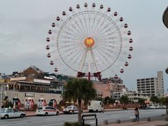 -美国村