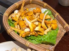 鸡油菌-滇野云南野生菌餐厅(陕西南路店)