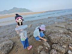 -北岐滩涂