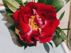 -观盐·盐帮菜(官园桥店)