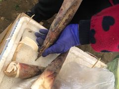 -重振华中蔬菜批发市场(重庆中路店)