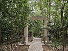 -上海佘山国家森林公园天马山园