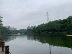 -重庆彩云湖湿地公园