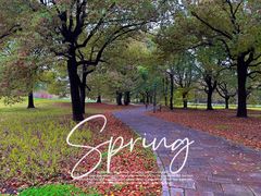 -上海共青森林公园