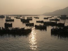 -小皓村