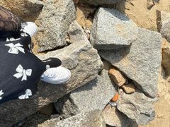 -白城沙滩