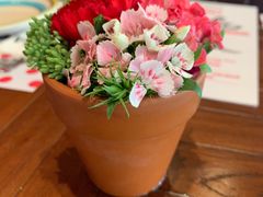 -TOMATITO(无限极荟店)