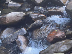 -福清灵石山国家森林公园