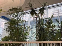 -大树餐厅(红旗街万达店)