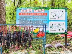 -大奇山国家森林公园