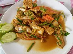 -Jungle Kitchen
