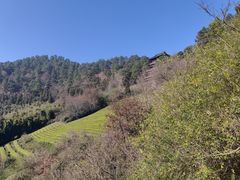 -敬亭山风景名胜区