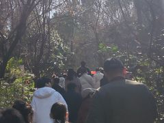 -云龙湖旅游景区