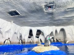 -太平洋海底世界