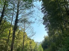 -帐篷客·溪龙茶谷度假酒店